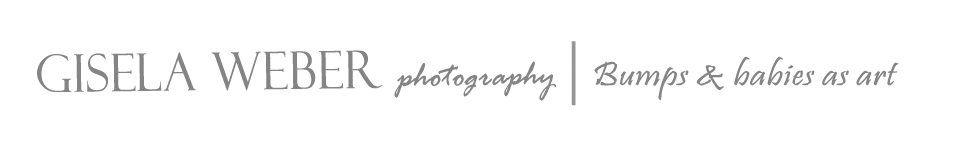 Gisela Weber Photography logo